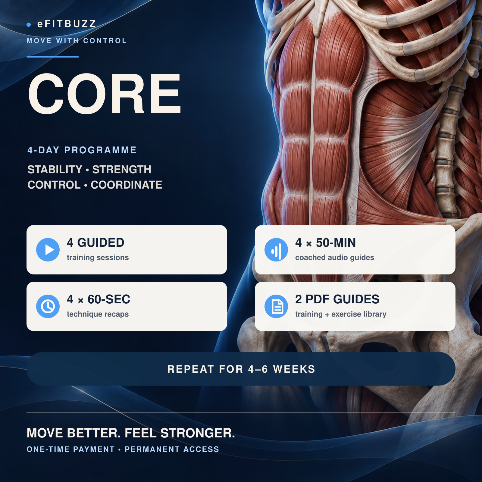 eFitBuzz Core 4-day programme cover with core anatomy and programme details